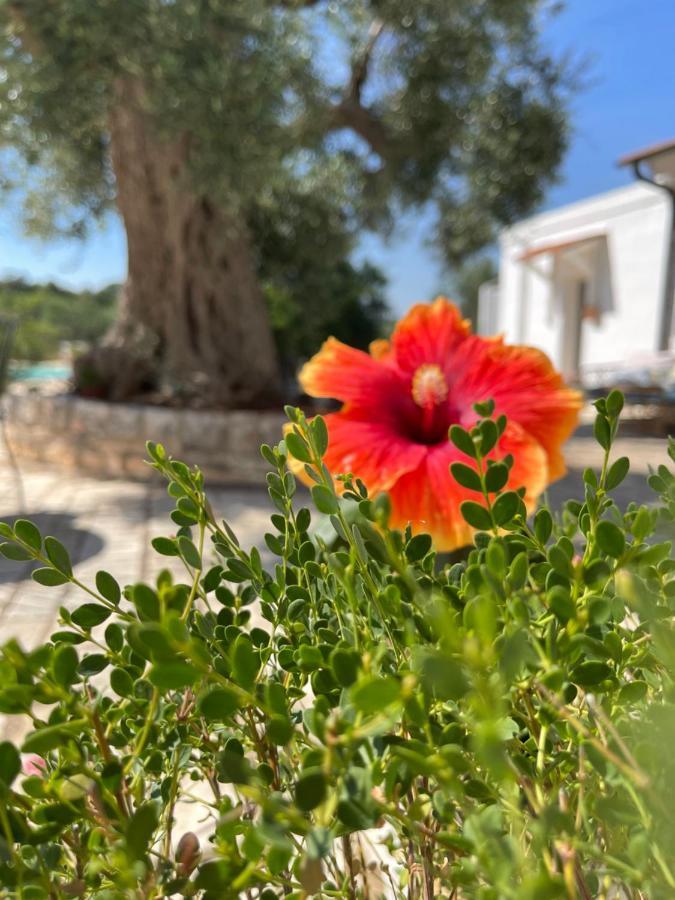 Masseria I Raffi B&B Monopoli Exterior foto