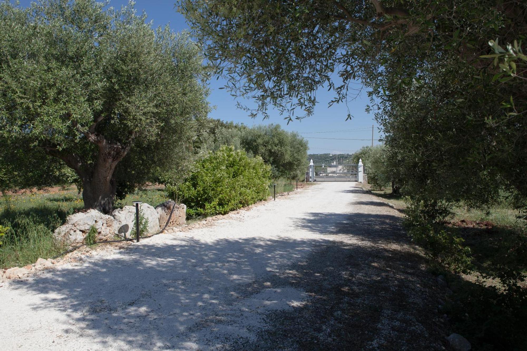 Masseria I Raffi B&B Monopoli Exterior foto